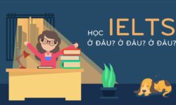 Địa chỉ học IELTS Gò Vấp uy tín, đảm bảo?