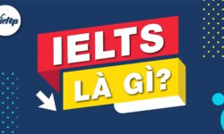 IELTS là gì ? Cấu trúc và hình thức đề thi IELTS