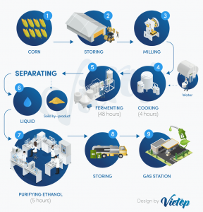 The diagram below shows how ethanol fuel is produced from corn