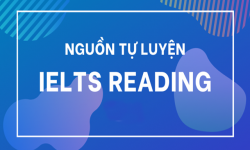 Điểm mặt 7 nguồn Reading theo trình độ