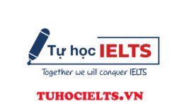 Các câu nói transition quan trọng khi luyện thi viết IELTS