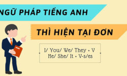 Thì Hiện Tại Đơn (Simple Present) – Công thức cách dùng & bài tập có đáp án chi tiết