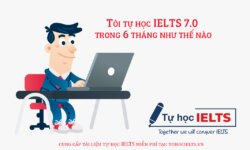 tu hoc ielts 7 trong 6 thang