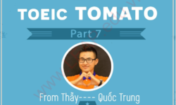 Tải miễn phí bộ Chữa đề toeic tomato part 7 [PDF]