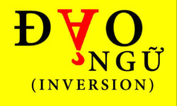 cau-dao-ngu-trong-tieng-anh