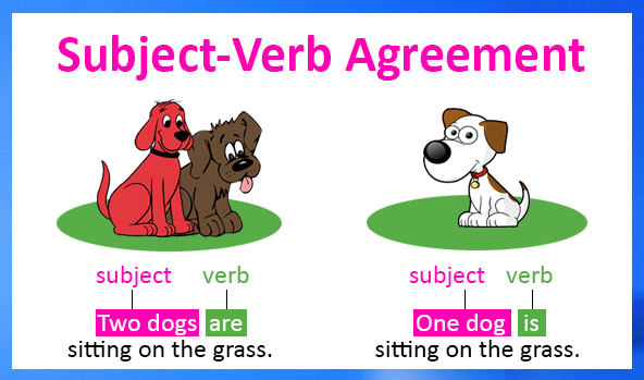 Subject Verb Agreement 1