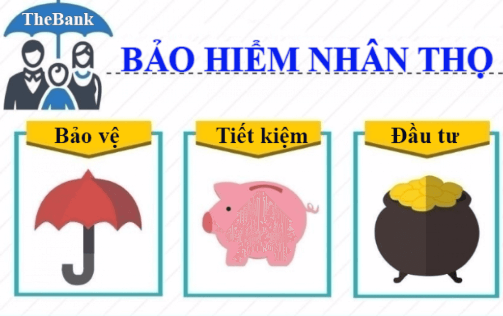 Tiếng Anh chuyên ngành bảo hiểm nhân thọ