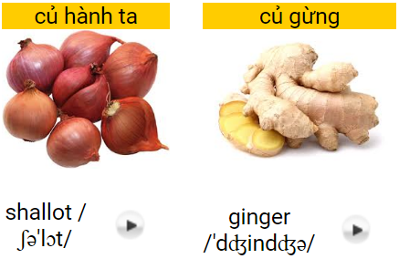 hoc tieng anh qua hinh anh rau cu qua 1