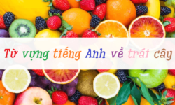 50+ Từ vựng tiếng Anh chủ đề trái cây