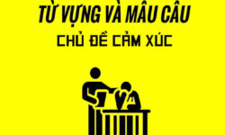 Từ vựng tiếng Anh về cảm xúc