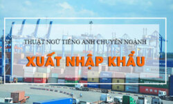 Từ vựng tiếng Anh chuyên ngành xuất nhập khẩu