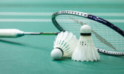 talk about your favorite sport badminton
