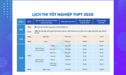 Đáp án đề thi tiếng Anh THPT quốc gia 2020 ngày 10/8