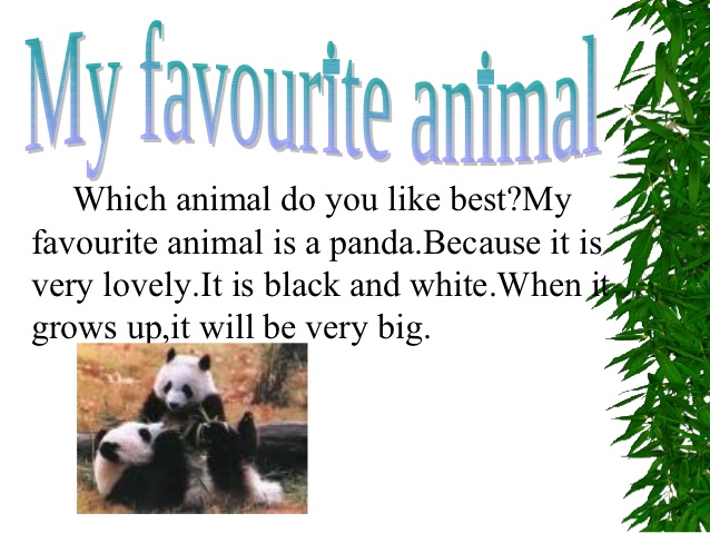 Talk about your favorite animal