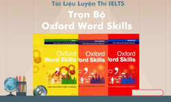 Tải trọn bộ Oxford Word Skills Basic + Intermediate + Advance