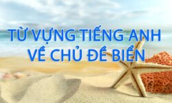 Từ vựng tiếng Anh về biển