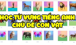 Từ vựng tiếng Anh về động vật