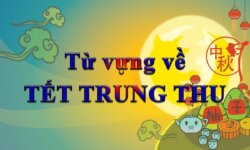 Từ vựng tiếng Anh về trung thu