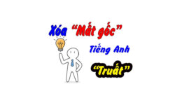 Mất gốc tiếng Anh nên bắt đầu từ đâu? Phương pháp học hiệu quả cho người mất gốc