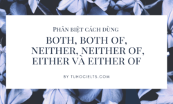 Phân biệt cách dùng both, both of, neither, neither of, either và either of