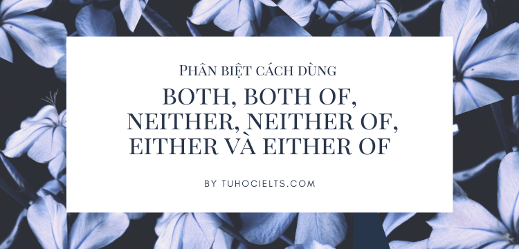 Phân biệt cách dùng both, both of, neither, neither of, either và either of