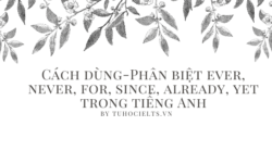 Cách dùng – Phân biệt ever, never, for, since, already, yet trong tiếng Anh