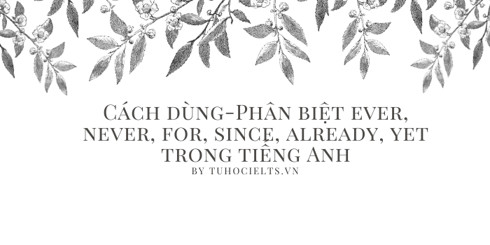 Cách dùng-Phân biệt ever, never, for, since, already, yet trong tiếng Anh