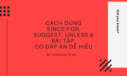 Cách dùng since/for, suggest, unless & bài tập có đáp án dễ hiểu