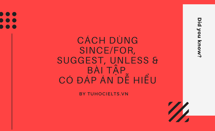 Cách dùng since/for, suggest, unless & bài tập có đáp án dễ hiểu