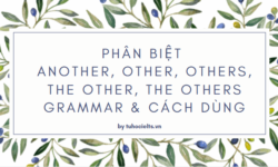 Phân biệt another, other, others, the other, the others grammar & Cách dùng