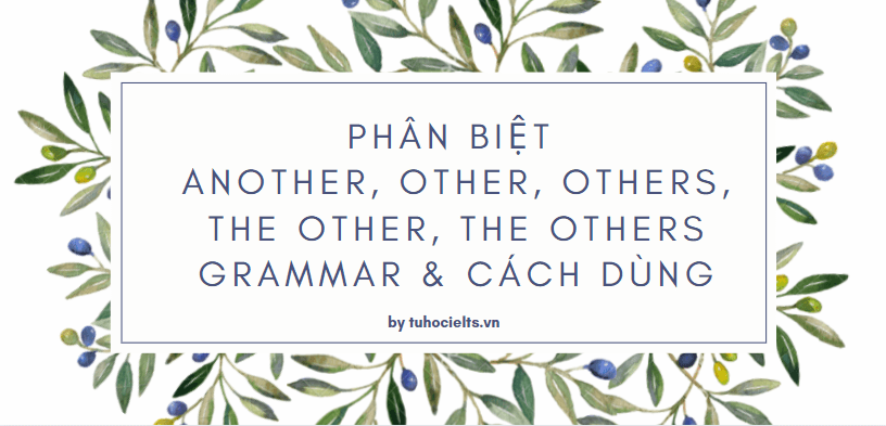 Phân biệt another, other, others, the other, the others grammar & Cách dùng