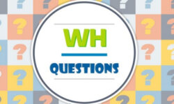 Cách đặt câu hỏi với which/ how/ which/ what trong tiếng Anh