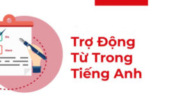 Khi nào dùng trợ động từ