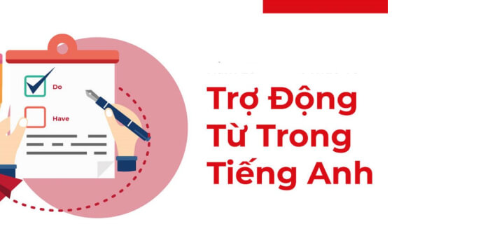 Khi nào dùng trợ động từ