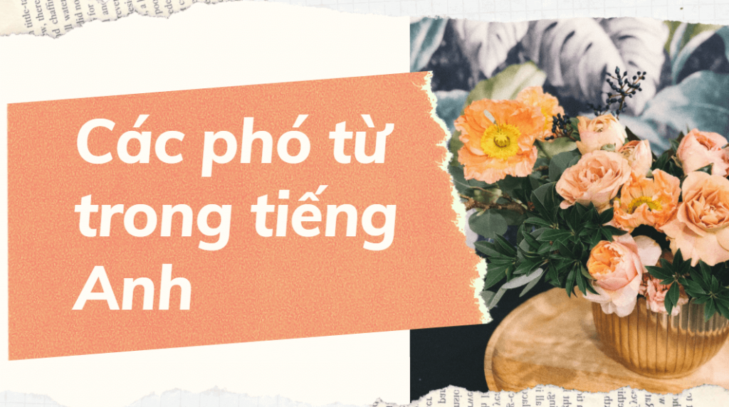 Phó từ chỉ tần suất