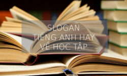 Top 25 những câu slogan tiếng Anh hay về học tập