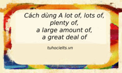 Cách dùng a lot of, lots of, plenty of, a large amount of, a great deal of