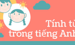 tính từ trong tiếng Anh là gì