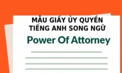 Mẫu giấy ủy quyền tiếng Anh song ngữ là gì (Power Of Attorney) – Download