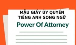 Mẫu giấy ủy quyền tiếng Anh song ngữ