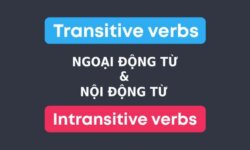 Ngoại động từ và nội động từ trong tiếng Anh