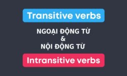 Ngoại động từ và nội động từ trong tiếng Anh