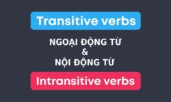 Ngoại động từ và nội động từ – Những điều quan trọng cần biết