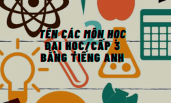 Tên các môn học Đại học cấp 3 bằng tiếng Anh