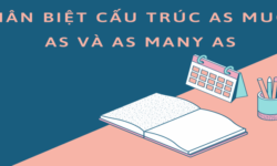 Phân biệt cấu trúc as much as và as many as.