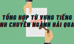 Từ vựng tiếng Anh chuyên ngành hải quan