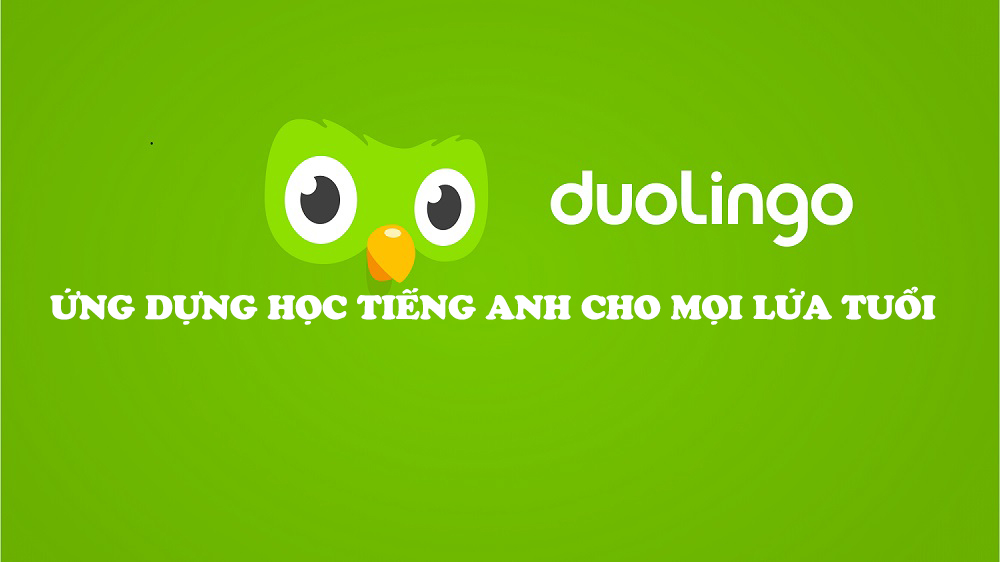 Học tiếng Anh qua Duolingo