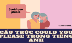 Cấu trúc Could you please trong tiếng Anh