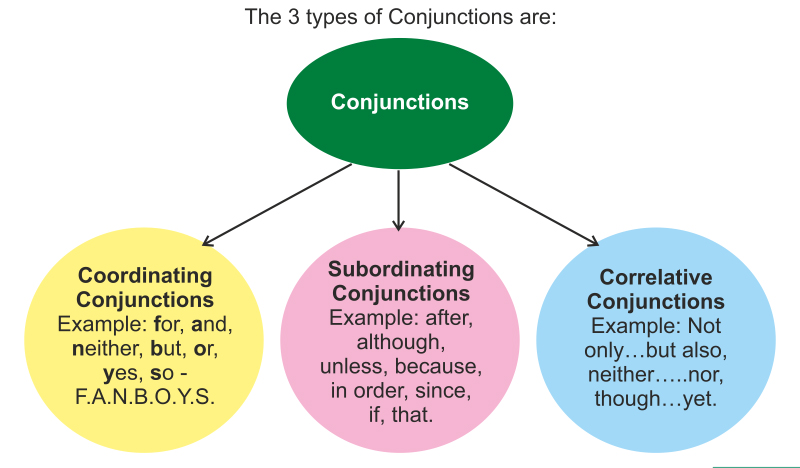 Các loại liên từ (conjunction) trong tiếng Anh.