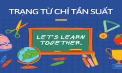 Trạng từ chỉ tần suất